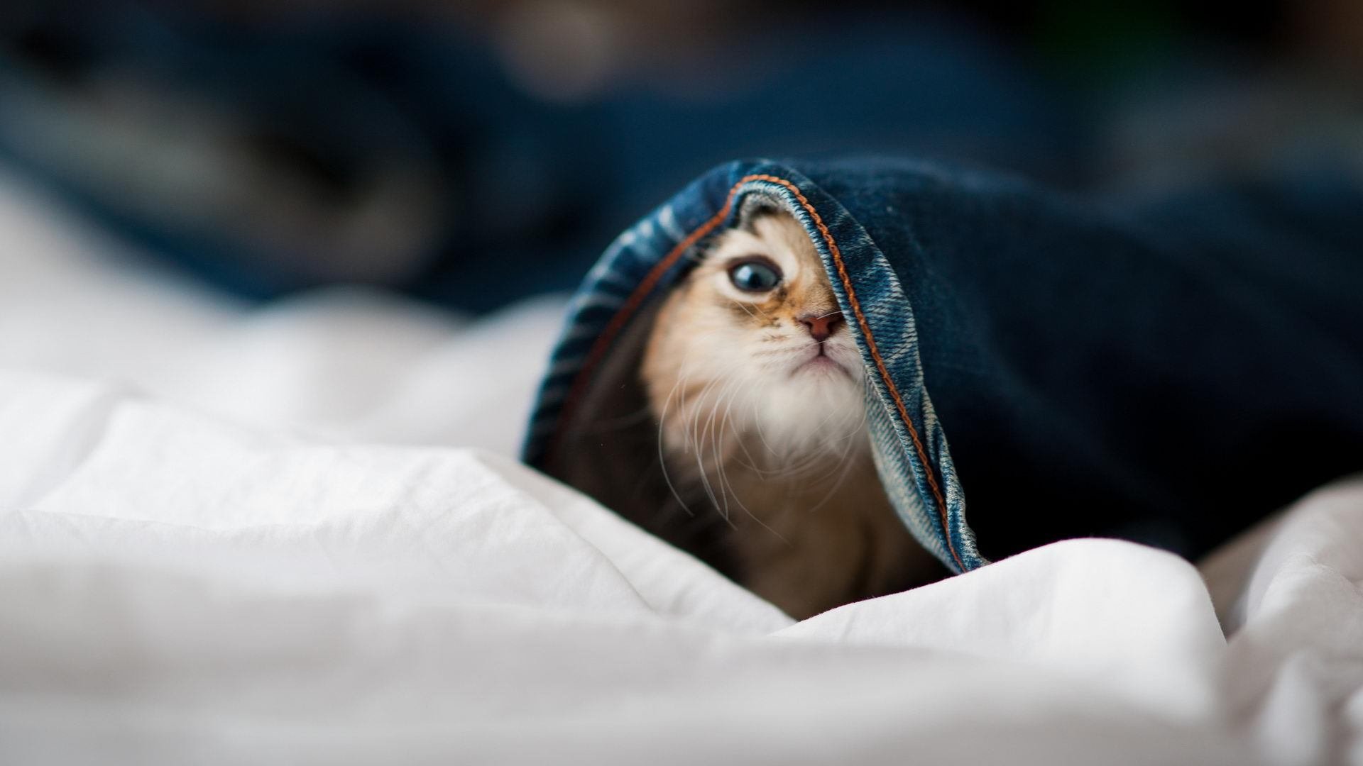 -切尔西周中换阵，战术调整带来新气象，common project切尔西