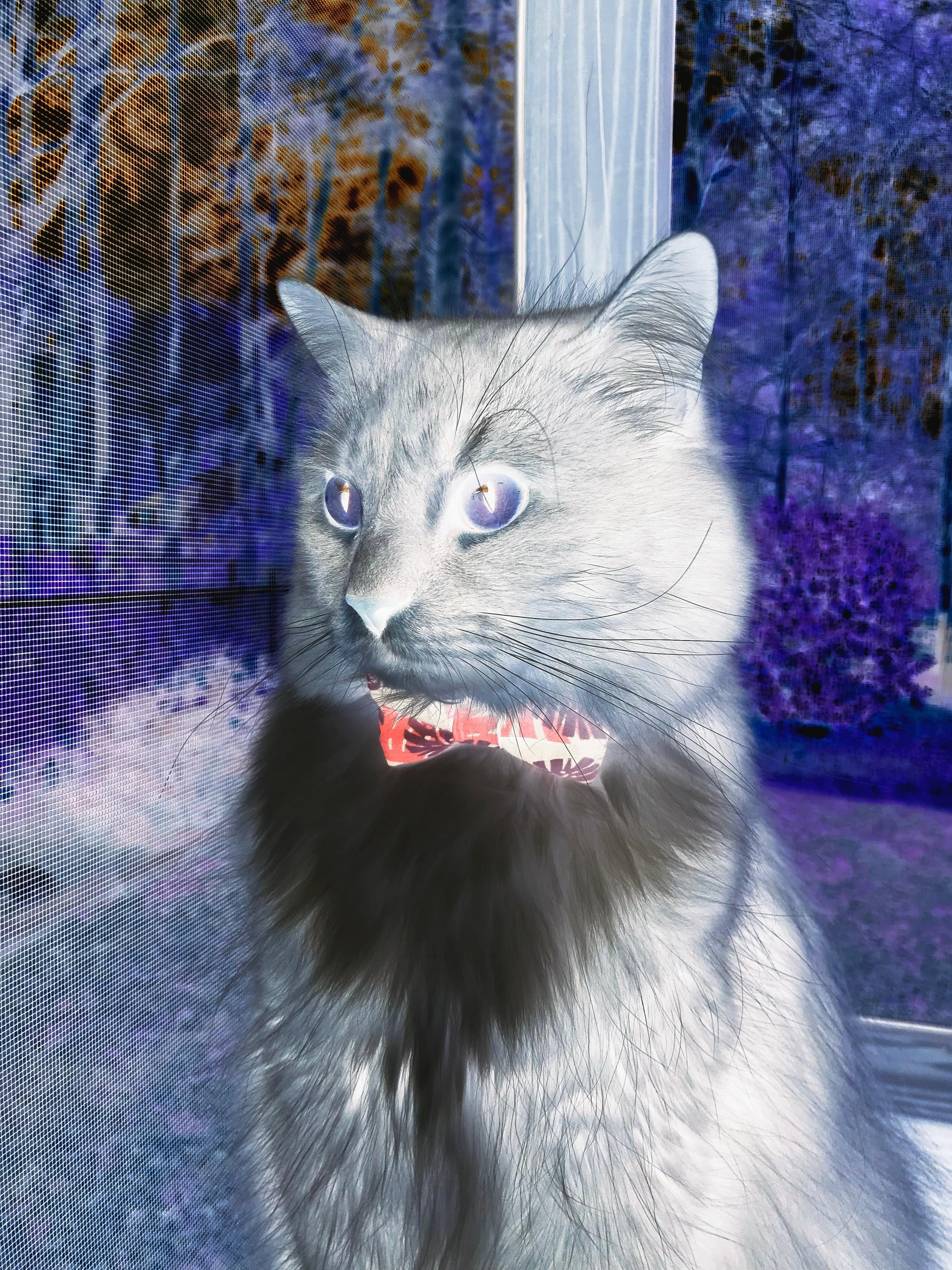 九游下载中心-高端足球训练营在全国多地落地，培养精英青少年，足球训练营招生报名