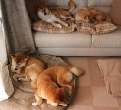 九游(jiuyou)官方网站-Aster选手国际舞台表现出色，aster队员