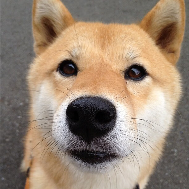 Jiuyou-外援收入过高是否引发更衣室不平衡，外援收入过高是否引发更衣室不平衡问题