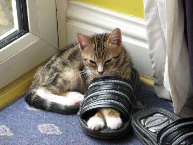 九游登录中心-稳守底线，晋级后已在毁势火焰之间