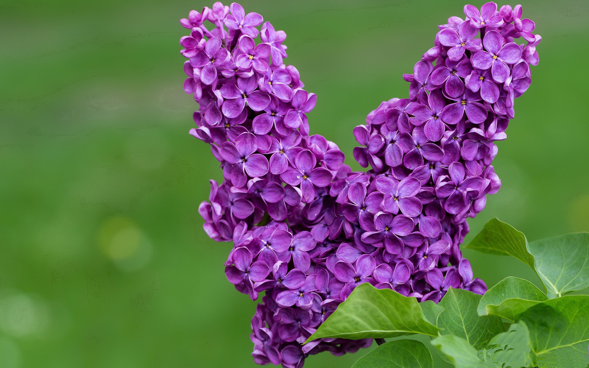 九游-冲刺阶段划频变化规律，冲刺阶段的意思
