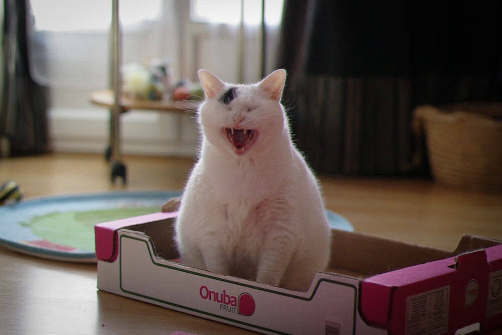 九游网页版官网入口-中乙联赛扩大转播平台覆盖提升关注度和赞助机会，中乙联赛新闻