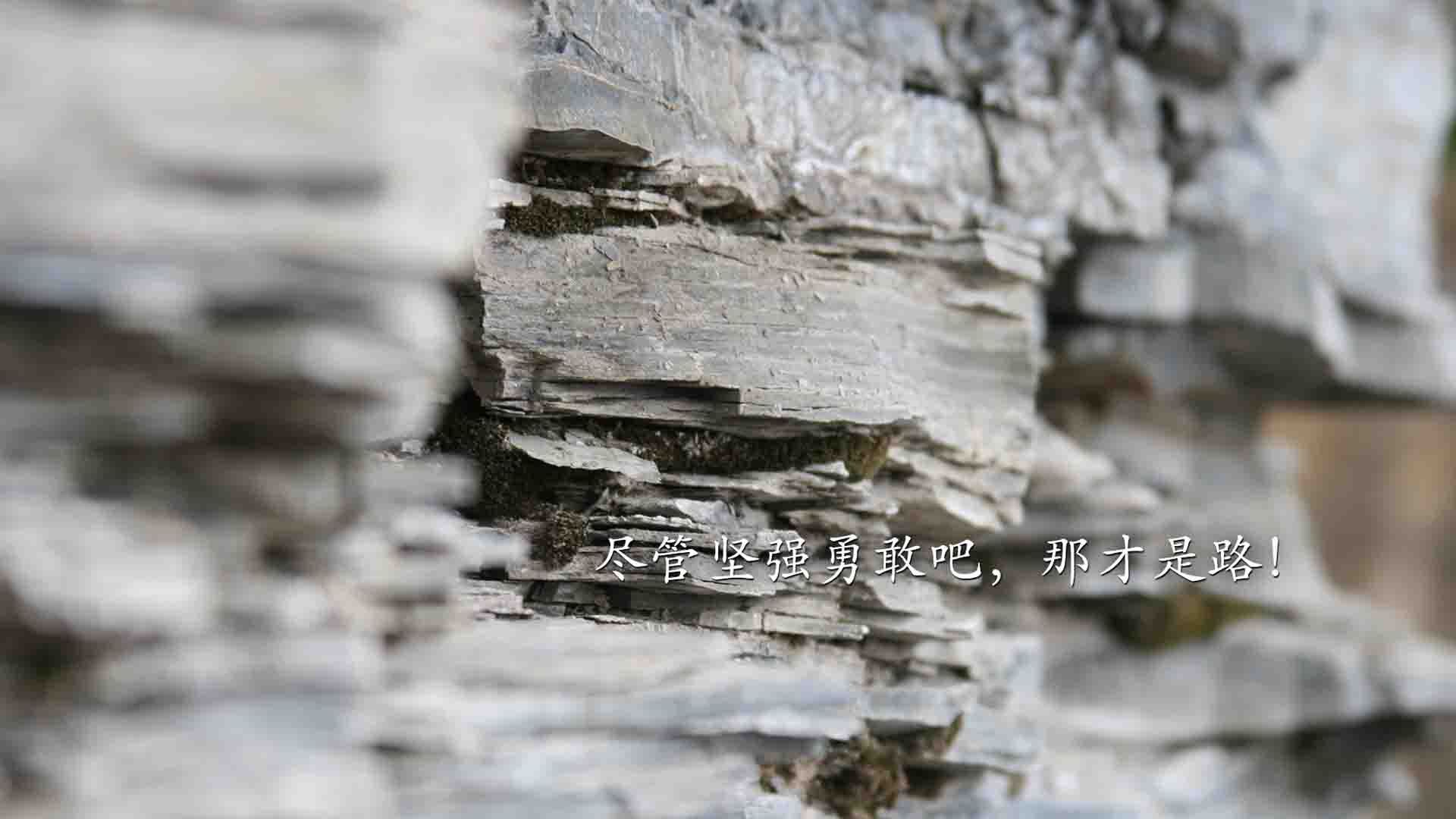 九游网页版官网-乔治中距离跳投稳定快船持续掌控比分，乔治 快船