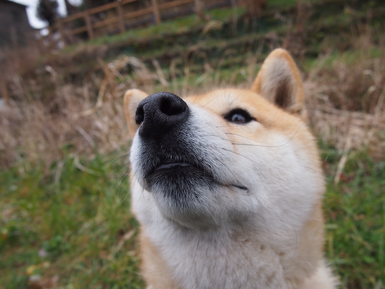 九游下载官网-冠军队教练获国际荣誉称号，执教理念获业界认可，教练冠军数排名