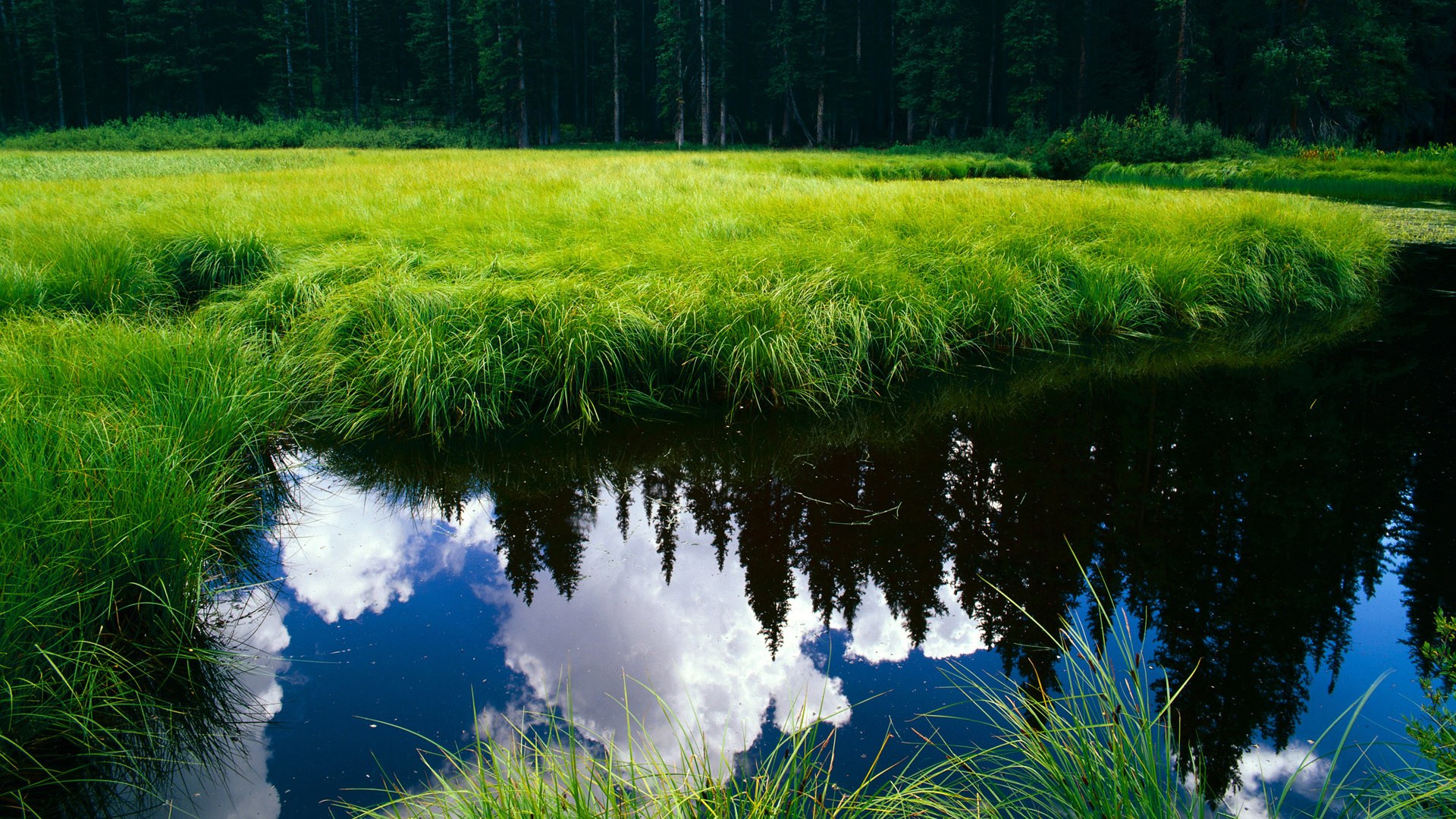 JIUYOU GAMING-欧洲杯决战现场：战术百变，精彩纷呈，欧洲杯最精彩的决赛