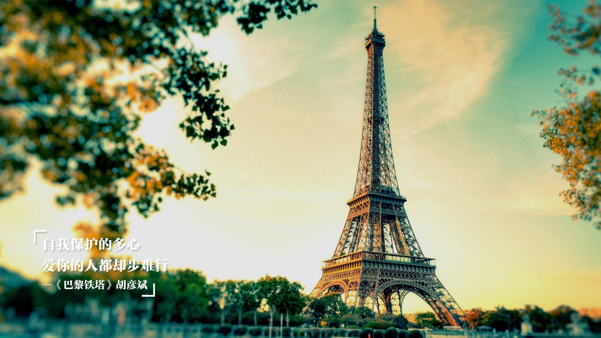 九游网页版官网-法甲问鼎时刻：新星崛起，未来可期！，法甲十大新星