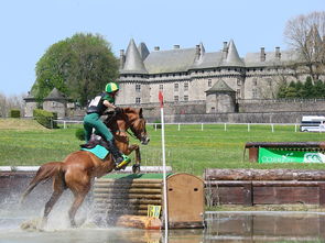 九游娱乐APP-苏格兰橄榄球在欧洲赛事中的市场影响力提升，苏格兰有什么体育项目